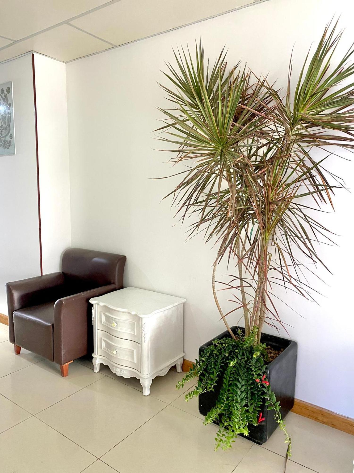 Zozo House - Homestay Bai Sau فونج تاو المظهر الخارجي الصورة